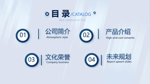 蓝色公司简介企业宣传工作总结PPT