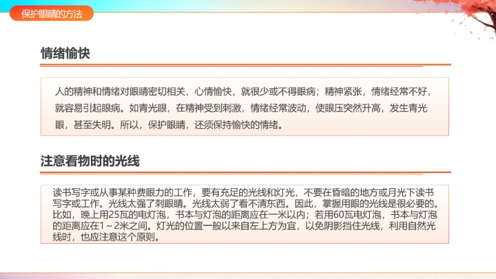 国际盲人节主题科普宣传PPT