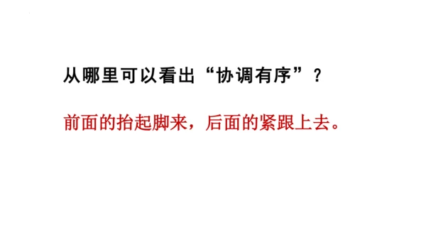 5《搭石》  课件