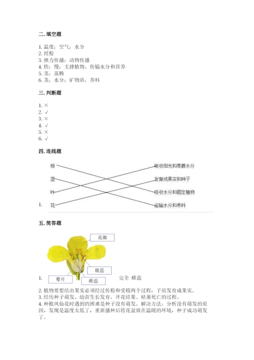 教科版四年级下册科学第一单元《植物的生长变化》测试卷（模拟题）.docx