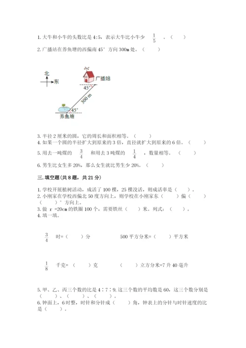 人教版六年级上册数学期末测试卷（夺冠）word版.docx