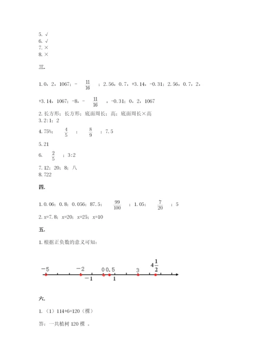 小学六年级下册数学摸底考试题含完整答案（名校卷）.docx