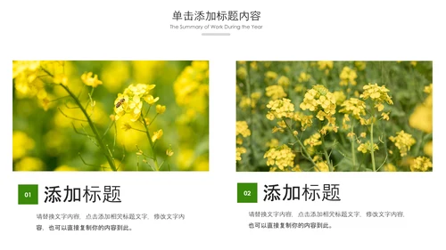 春天乡村旅游油菜花风景油菜花田PPT模板