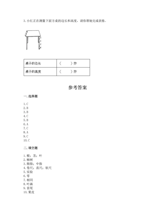 教科版一年级上册科学期末测试卷精品含答案.docx