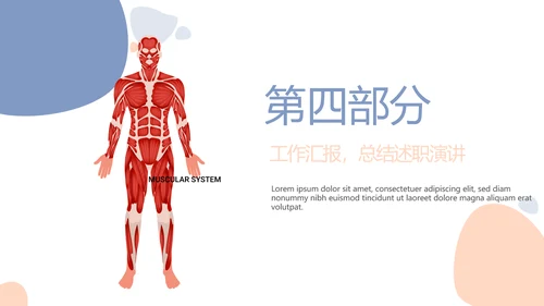 简约医疗骨骼肌肉系统动态PPT