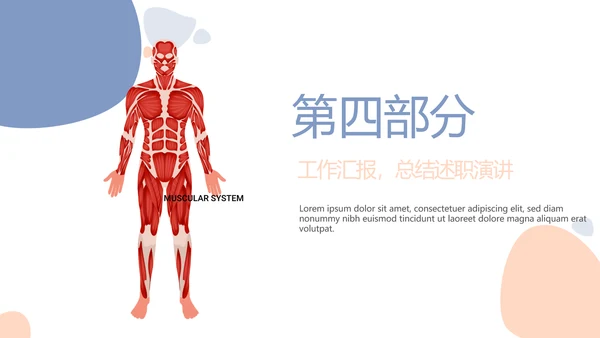 简约医疗骨骼肌肉系统动态PPT