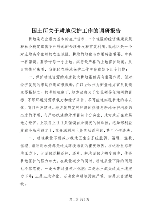 国土所关于耕地保护工作的调研报告.docx