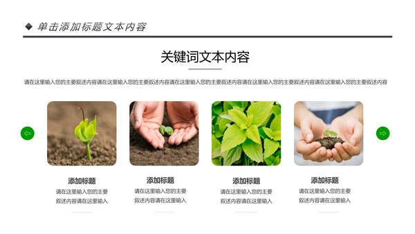 绿色唯美植物生长敬畏生命发芽PPT模板