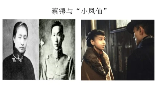 第11课 北洋政府的统治与军阀割据 课件