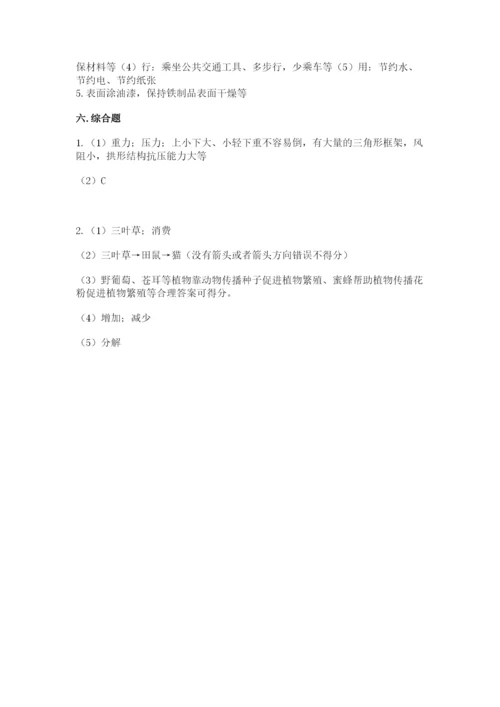 教科版科学六年级下册期末测试卷带答案ab卷.docx