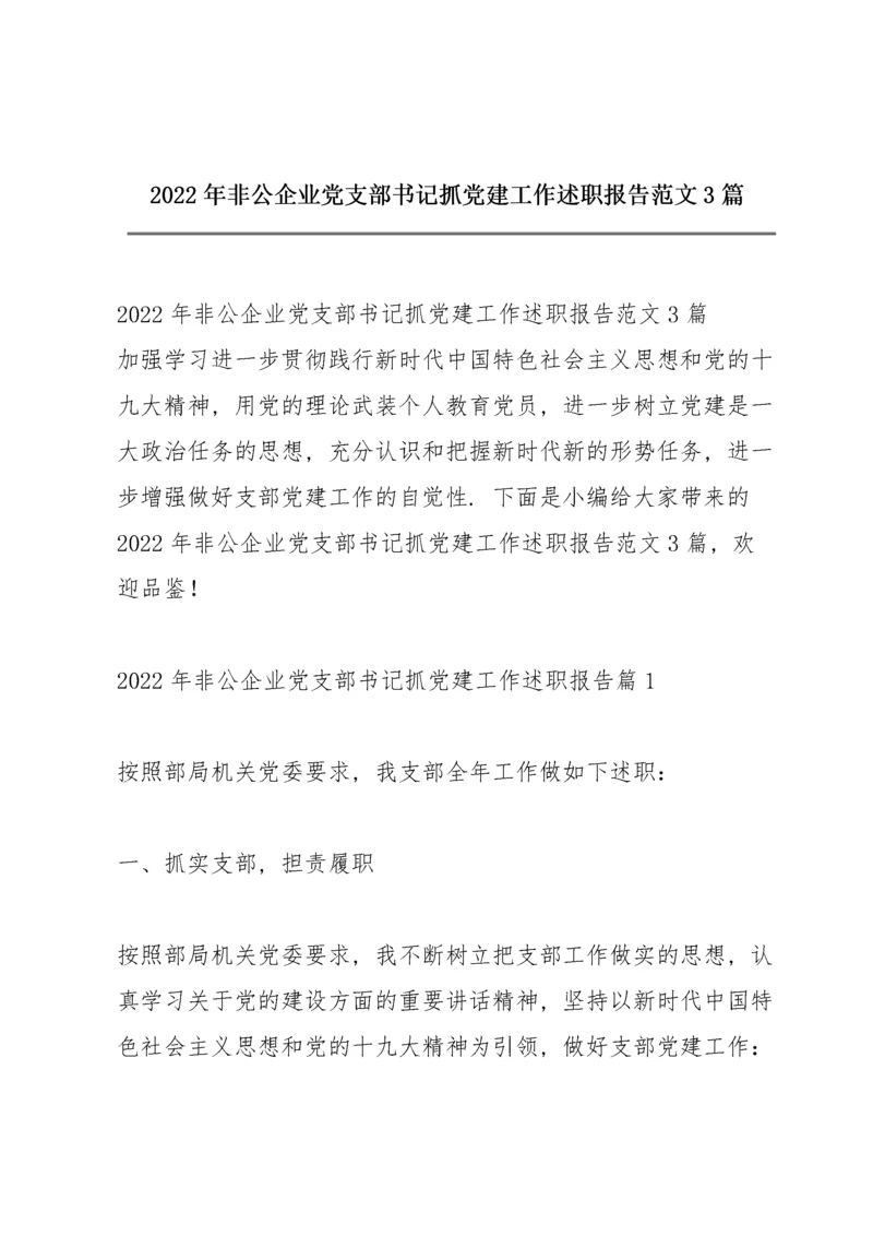 2022年非公企业党支部书记抓党建工作述职报告范文3篇.docx