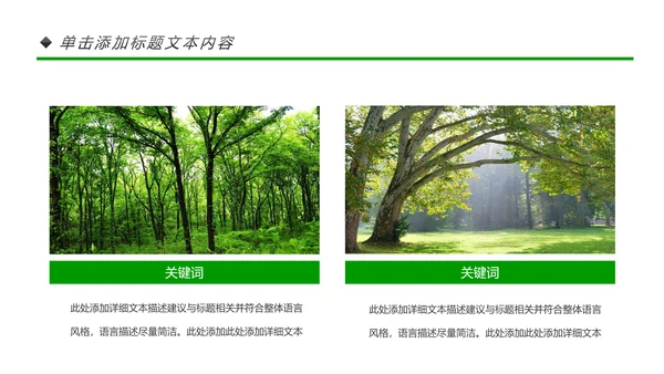 绿色环保世界湿地森林日动态PPT模板