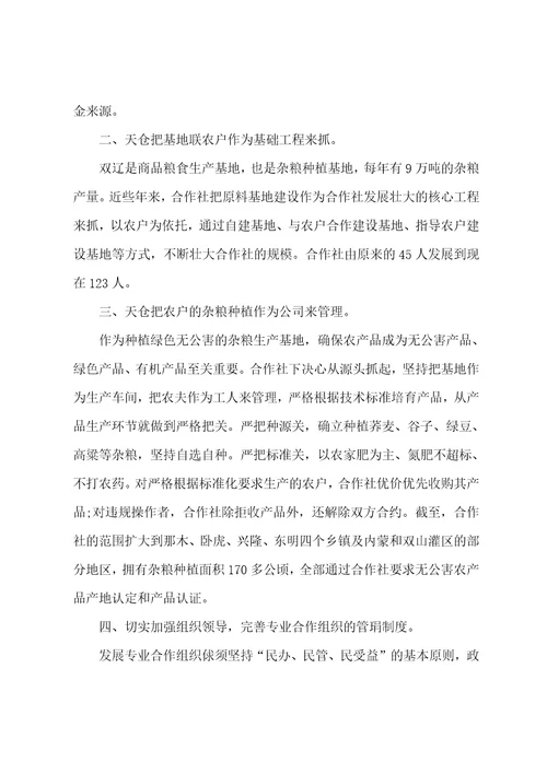 杂粮种植专业合作社调查报告