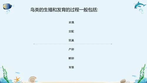 人教版八年级下册生物复习课件