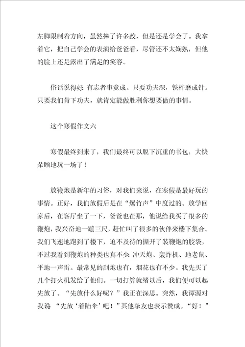 这个寒假作文300字