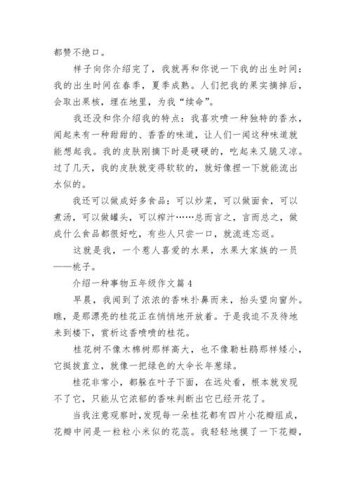 介绍一种事物五年级作文（精选10篇）.docx