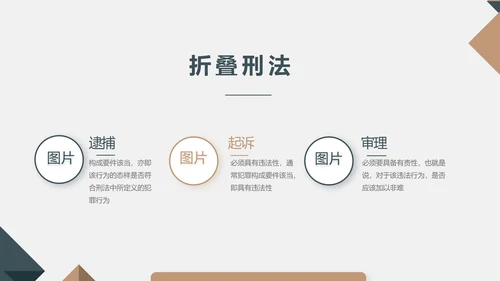 严谨大气法律法学律师工作汇报动态PPT模板