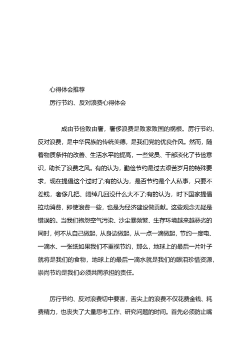 党政机关厉行节约反对浪费心得体会.docx