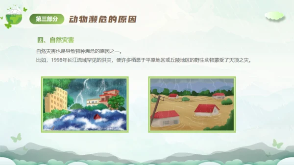 保护濒危动物，拯救美好生命通用PPT模板