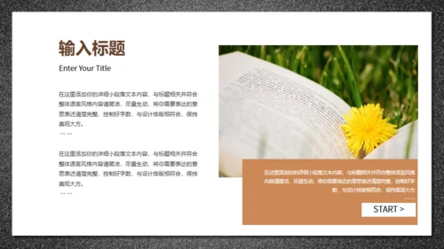 鹅毛笔，世界知识产权日通用PPT模板