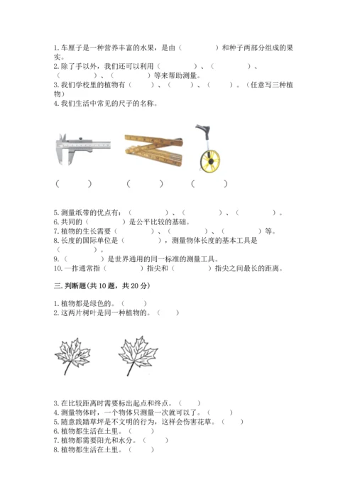 教科版一年级上册科学期末测试卷及精品答案.docx