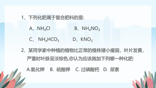 人教版九年级化学《化学肥料》PPT课件