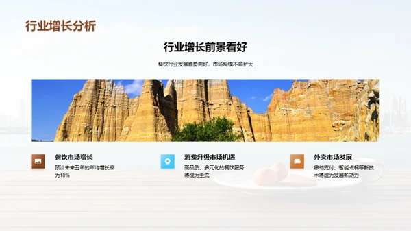 年度成就与未来展望