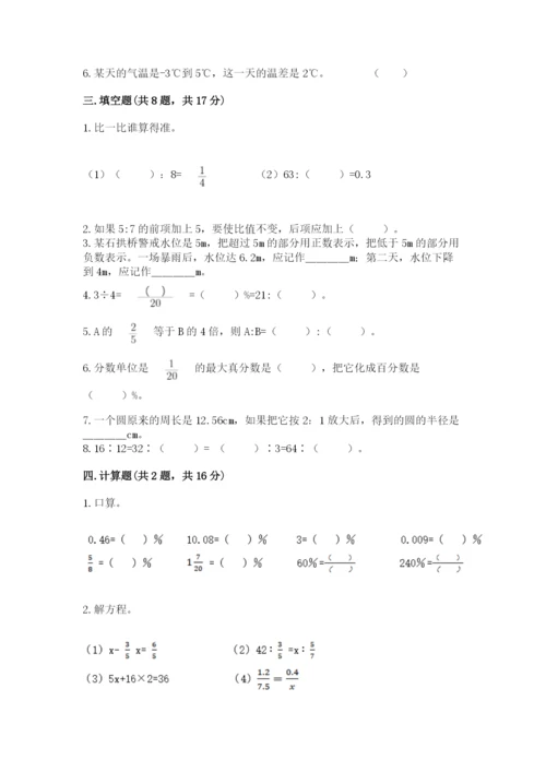 嵩明县六年级下册数学期末测试卷及1套完整答案.docx