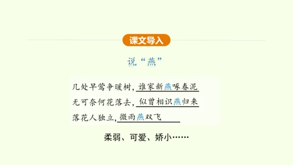 第4课 海燕 课件(共31张PPT)-【课堂无忧】新课标同步核心素养课堂