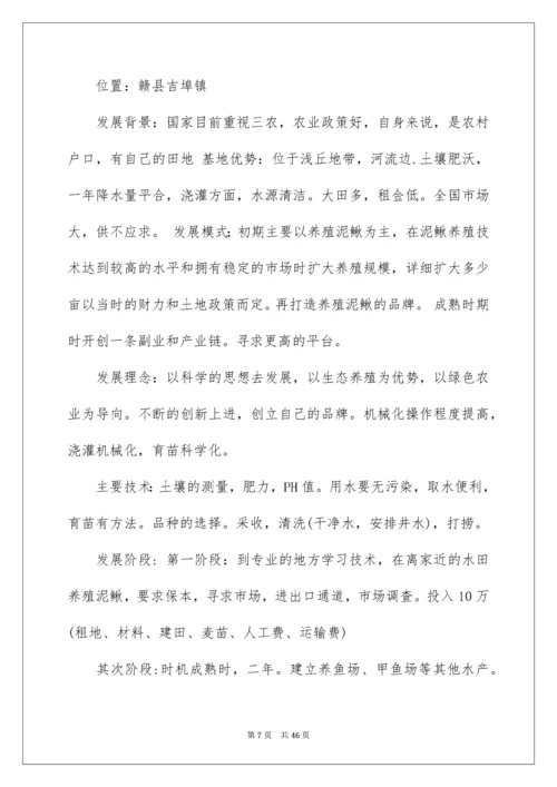 农村创业项目计划书.docx