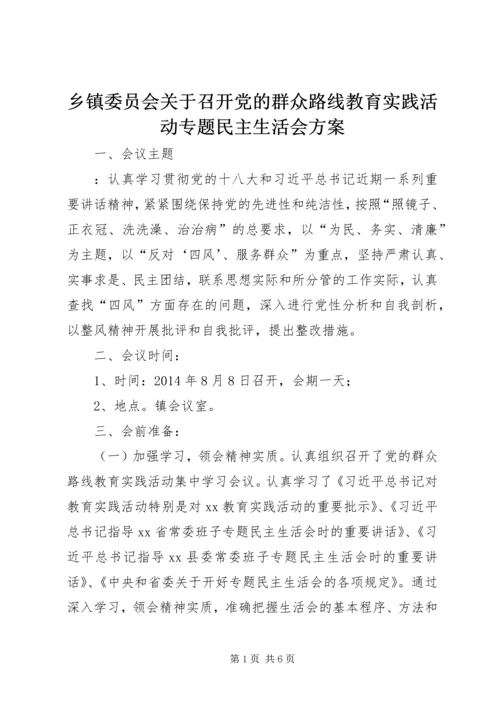 乡镇委员会关于召开党的群众路线教育实践活动专题民主生活会方案.docx