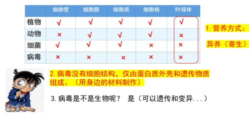 人教版生物八年级上册5.5《病毒》（课件）(共30张PPT)+视频素材