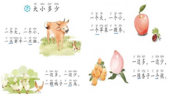 统编版语文一上第五单元复习课件