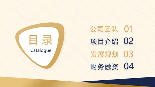 高端创业融资计划书商业项目计划书动态PPT