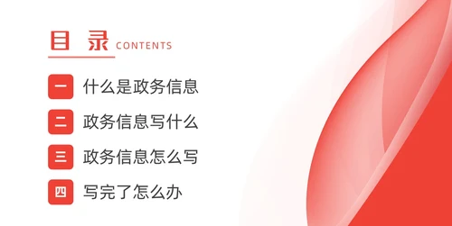 红色简约风大气政务服务培训动态PPT