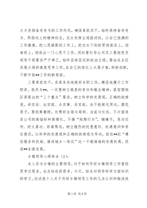 乡镇领导心得体会.docx