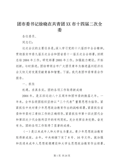 团市委书记徐晓在共青团XX市十四届二次全委.docx