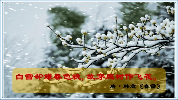 1 《沁园春 雪》第1课时【2024秋统编九上语文精彩课堂教案（精品课件）】