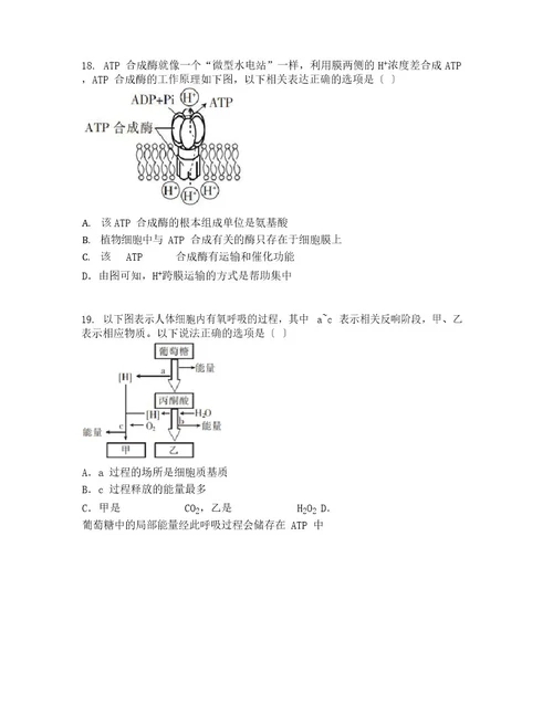 甘肃省庆阳市2023学年度高一上学期期末生物试题