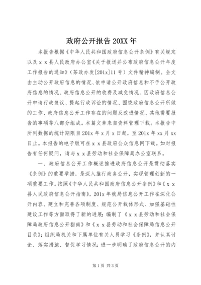 政府公开报告20XX年.docx