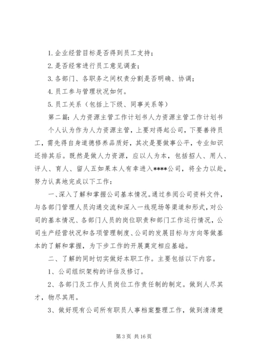 新任人力资源主管工作计划书4.docx