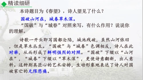 26 诗词五首《春望》课件