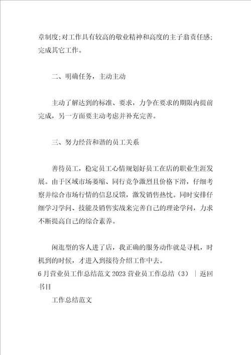 2023营业员工作总结4篇