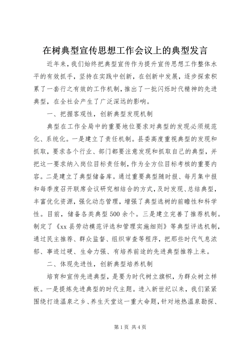 在树典型宣传思想工作会议上的典型发言.docx