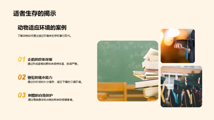 生命的奥秘与保护