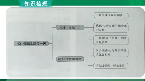 【期末复习】统编版道德与法治4年级上册第4单元我们所了解的环境污染复习课件（21张PPT）