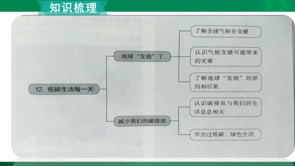 【期末复习】统编版道德与法治4年级上册第4单元我们所了解的环境污染复习课件（21张PPT）