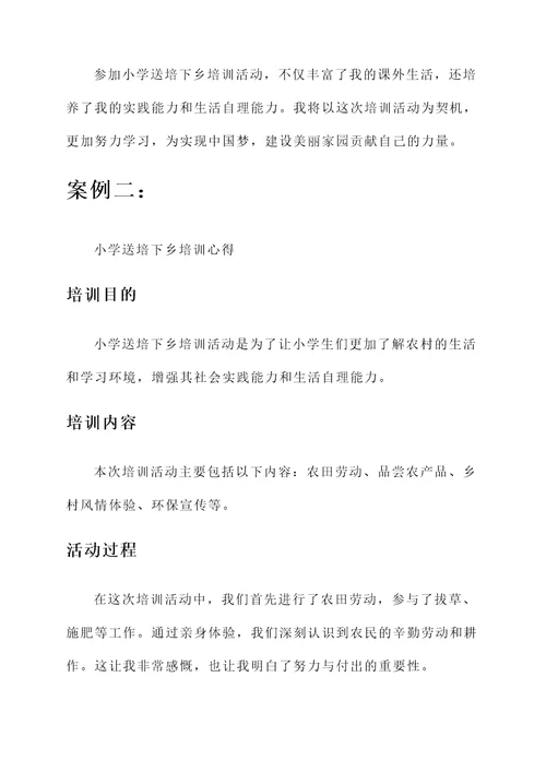 小学送培下乡培训心得