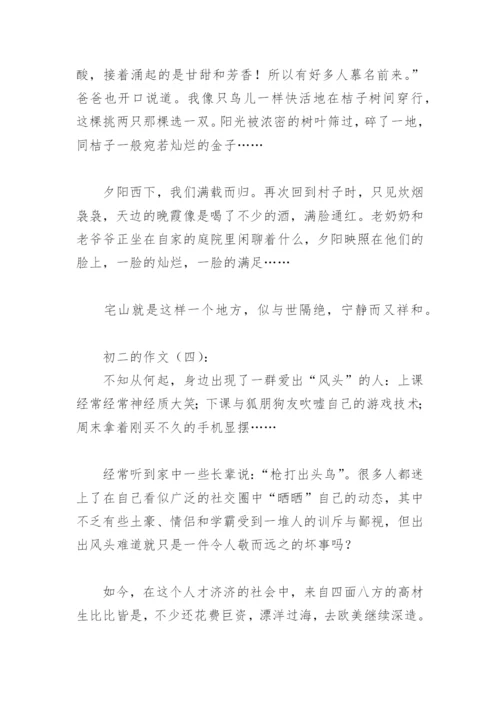 关于初二的作文800字(精选33篇).docx