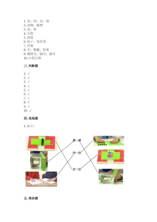 教科版二年级上册科学期末考试试卷（巩固）.docx